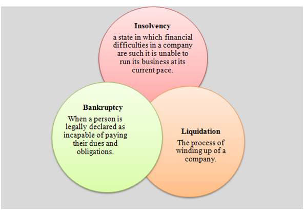 Insolvency, Bankruptcy and Liquidation