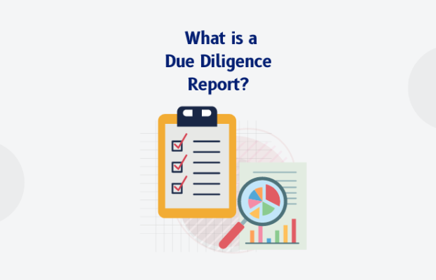 What is a Due Diligence Report?