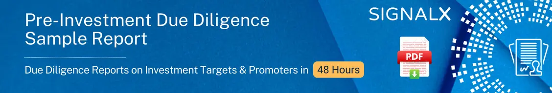 Due Diligence sample report