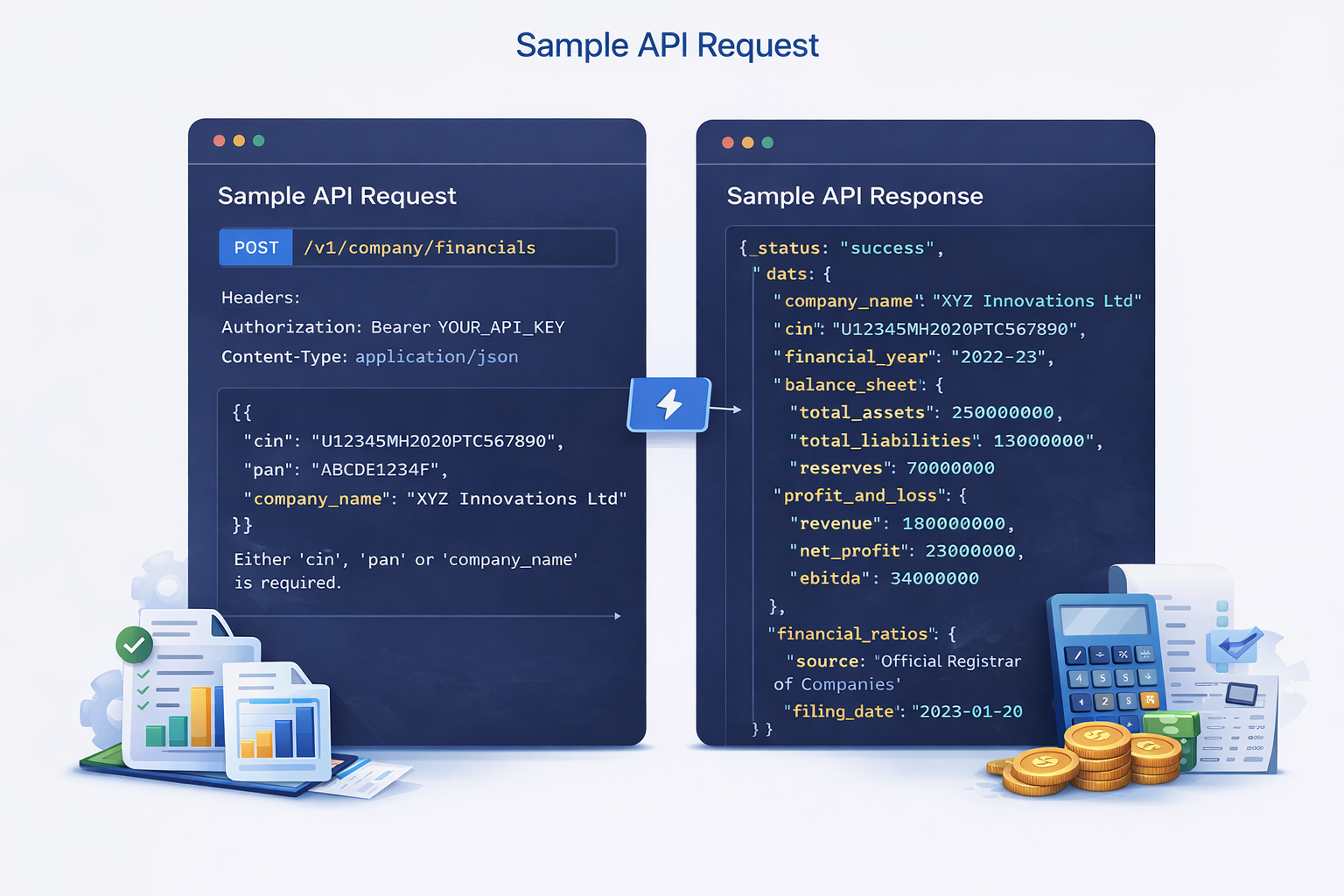 Company Financial Statements - API